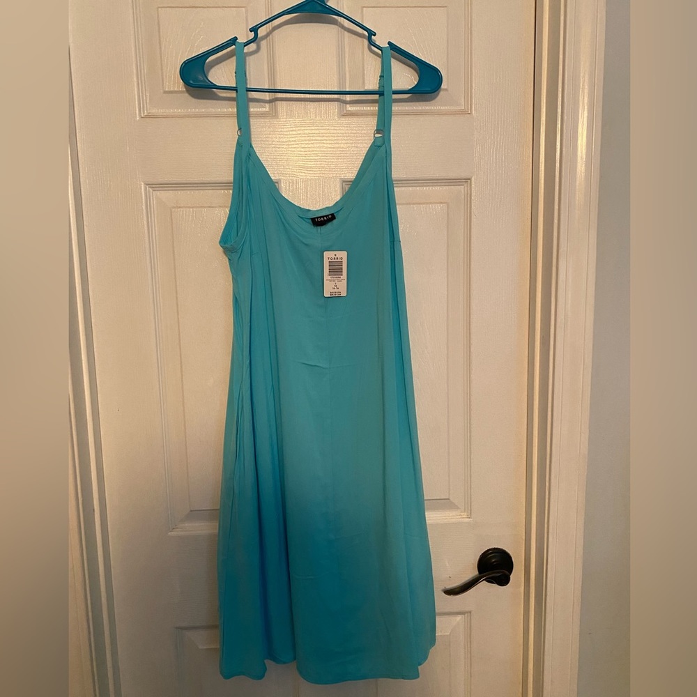 Torrid trapeze dress